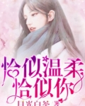 恰似温柔恰似伱