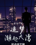 追梦：潮起大湾