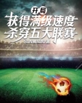 开局就满级了怎么办