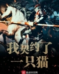 我契约了一只猫女主角有几位