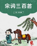 宋词三百首