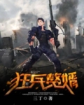狂兵赘婿