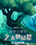 宠物小精灵之大胆鼠辈