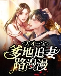 天才三宝：爹地追妻路漫漫