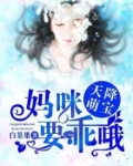 天降萌宝：妈咪，要乖哦