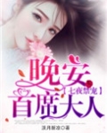 七夜禁宠：晚安，首席大人