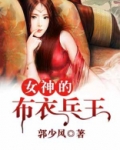 女神的布衣兵王全文免费阅读