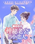 一见钟情:神秘老公的小恋人