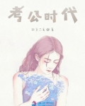 考公时代