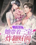 六年后她带着三宝炸翻财阀