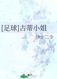 古蒂进球集锦