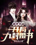 高手下山开局九封婚书 百科