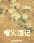 榴实图记小说评价