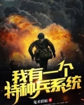 我有一个特种兵系统免费TXT