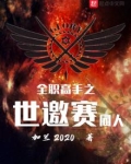 全职高手之世邀赛TXT