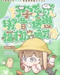 崽崽万人号