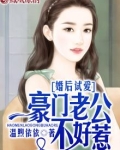 先婚试爱豪门老公不好惹