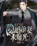 高手下山：隐婚前妻求曝光