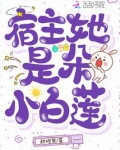 快传:宿主她是朵黑莲花喝花茶