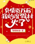 负债百万后，我的度假村火了