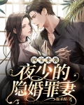 四宝来袭：夜少的隐婚罪妻