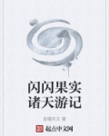 闪闪果实小说