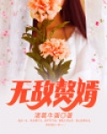 无敌赘婿小说免费阅读