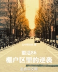 重活86：棚户区里的逆袭