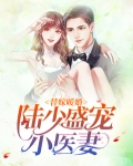 替嫁暖婚:陆少盛宠小医妻全文阅读