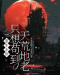 重生末世只想苟到天荒地老