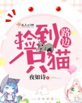 路边捡到一只猫
