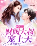 闪婚后财阀大叔宠上天