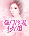 豪门冷妻不好追