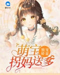 独宠臻宝:拐个萌娃养成妃