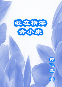 我在横滨奔小康txt