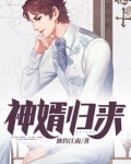 神婿归来