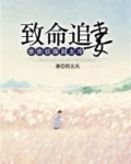 致命追妻：亲亲侦探别太冷