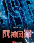 成神风暴