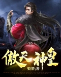 天极武帝