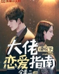 大佬请收下恋爱指南