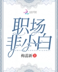 职场小白里的露露