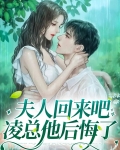 夫人回来吧,凌总他后悔了百度云