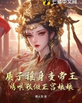 质子为皇 小说