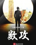 数攻略