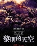 抗日之黎明天空在线阅读