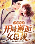全能奶爸:开局邂逅女总裁