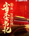 官场：从一等功臣到省委书记