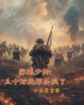 三十万征北军小说