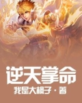 逆天掌命