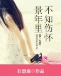 景年里不知伤怀